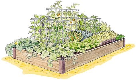 Make Plans For High Yield Vegetable Garden This Season Community