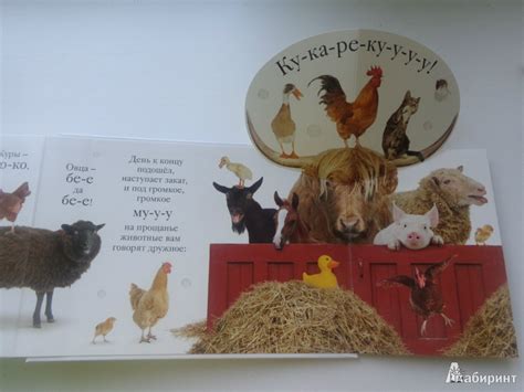 Книга: Хрю - Флит Ван. Купить книгу, читать рецензии | Лабиринт