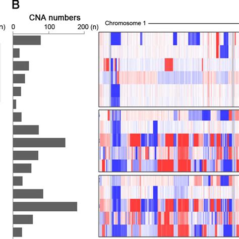 Classification Of The Somatic Mutations And CNAs With Respect To The