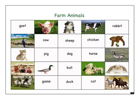 Word Mat With Keywords Associated With Farm Animal Teaching Resources