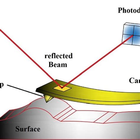 Schematic mechanism of the atomic force microscope | Download ...