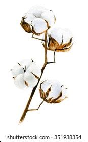 11,773 Cotton Flower Painting Images, Stock Photos & Vectors | Shutterstock