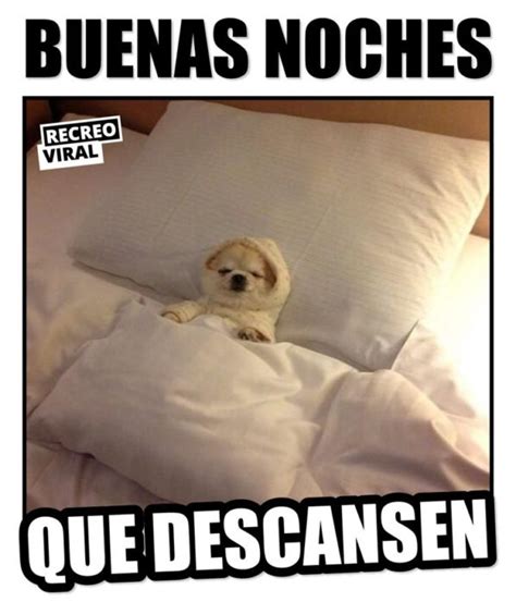 Memes De Risa Buenas Noches Take A Nap Take That Iphone Wallpaper