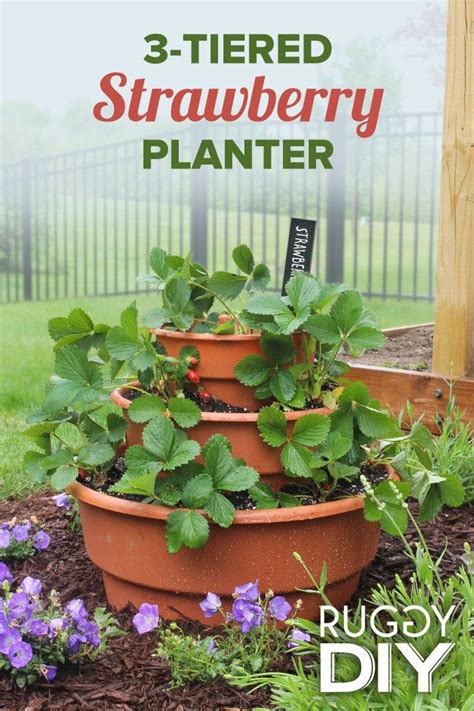 Diy Strawberry Planter Ideas For Container Planting In