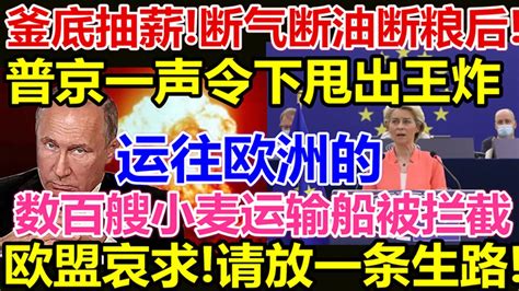 釜底抽薪、俄罗斯甩出王炸、断气断油断粮后、普京一声令下、运往欧洲的数百艘小麦运输船被拦截、欧盟哀求、请放一条生路、 Youtube