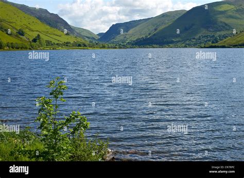 Talyllyn Lake also know as Tal-y-llyn Lake or Llyn Mwyngil in Snowdonia looking north-east to ...