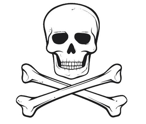 Pirate Jolly Roger Skull Bone Clip Art Pirate Png Download 600512