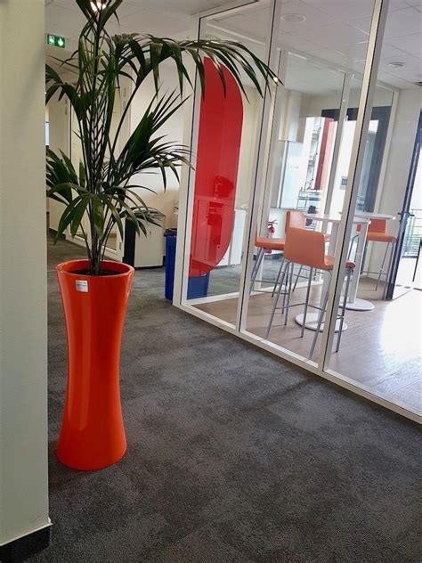 Des Plantes Vertes Pour Vos Bureaux Green Prospect