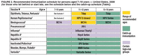 Hepatitis A Vaccine 3 Dose Schedule - Vaccine Dose