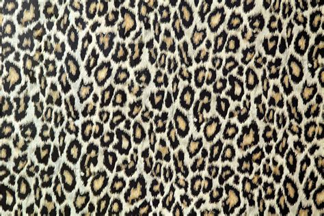 Leopard Skin Texture Or Fabric Photograph By S Cphoto Pixels