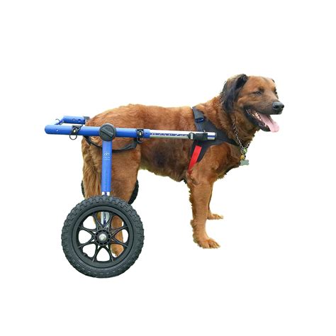 Dog Wheelchair For Toy Breeds Cat Wheelchair Walkin' Wheels, 44% OFF