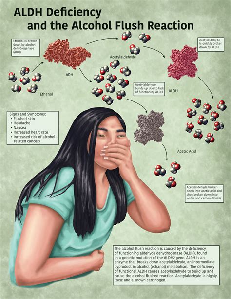 ALDH Deficiency and the Alcohol Flush Reaction on Behance