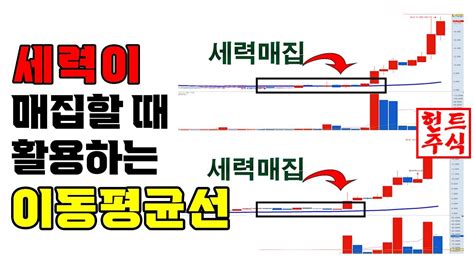 세력이 매집할 때 활용하는 이동평균선 주포 세력들이 테마 대장주를 매집할 때 할용하는 기법 8 Youtube