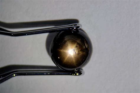 Natural black star sapphire 1.42 ct - Round cabochon - Black - Video