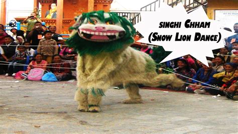 Tibetan Singhi Chham Snow Lion Dance Mani Rimdu Ceremony सेङ्गे