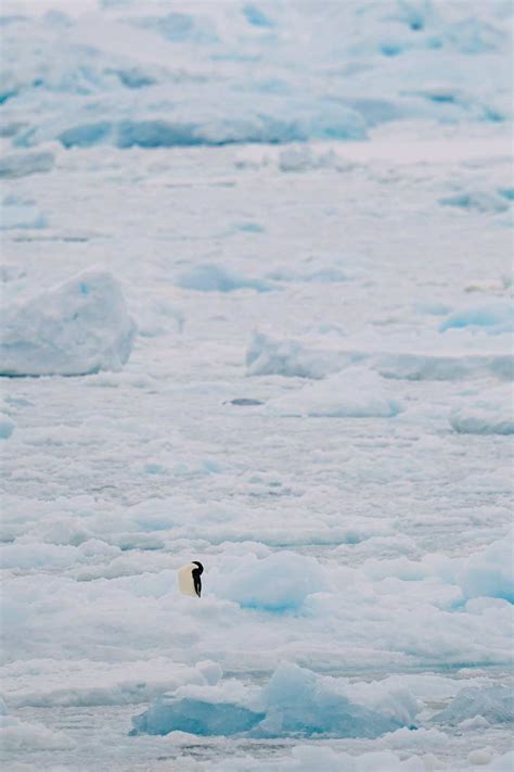 Crossing The Drake Passage To Antarctica What Is It Really Like Kb Eu