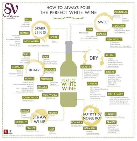 Infographic Guide That Helps Wine Lovers Select The Best White Wine For All Occasions Choose By