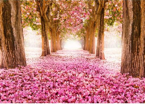 Runa Art Fototapete Wald Blumen Allee 352 X 250 Cm Vlies Tapeten XXL