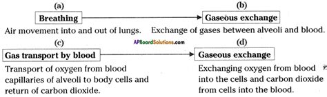 Ap Ssc 10th Class Biology Solutions Chapter 2 Respiration The Energy