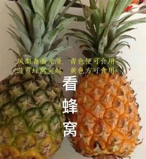 菠蘿鳳梨傻傻分不清，圖解一招分辨 每日頭條