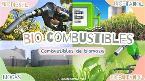 Qu Son Los Biocombustibles Y Cu Les Son Sus Tipos