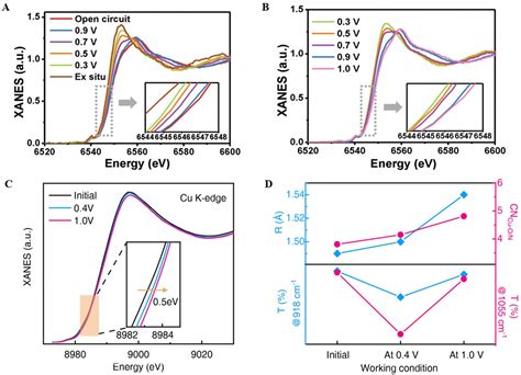 Recent Progress Of In Situ Operando Characterization Approaches Of Zinc