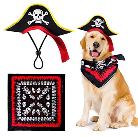 Fun Halloween Costumes For Golden Retrievers Ideas