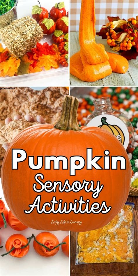 Pumpkin Sensory Activities