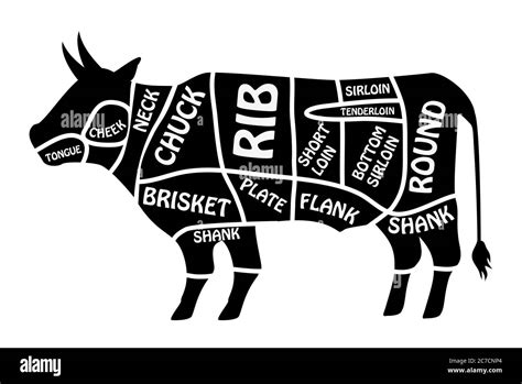 Beef chart. Poster Butcher diagram for groceries, meat stores, butcher ...