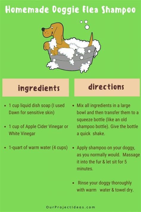 Homemade Dog Flea Shampoo - Our Project Ideas