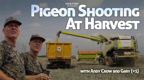 Pigeon Shooting At Harvest With Fieldsports Star Andy Crow And Gary 1