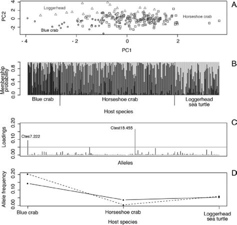 Discriminant Analysis Of Principal Components Dapc Results For Download Scientific Diagram