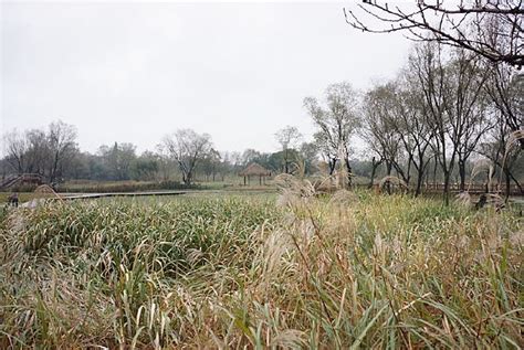 杭州西溪湿地风景图片杭州西溪湿地风景素材下载红动中国