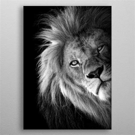 Wild Lion Face Eyes Poster Picture Metal Print Paint By Mk Studio