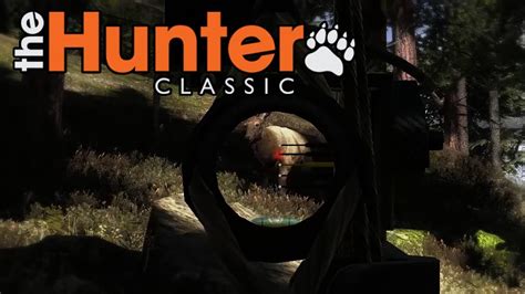 The Hunter Classic 10 Die Suche The Hunter Youtube