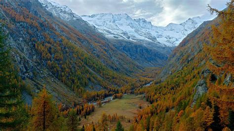 Bing HD Wallpaper Oct 30 2024 Gran Paradiso National Park Italy