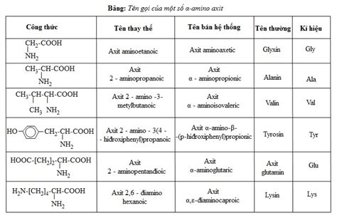 Amino Axit