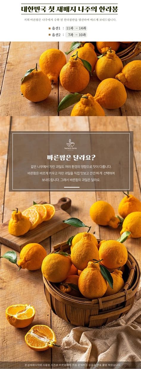 Bareunfruit 바른팜 나주 한라봉 3kg 7 10과 과일 선물세트 핫트랙스