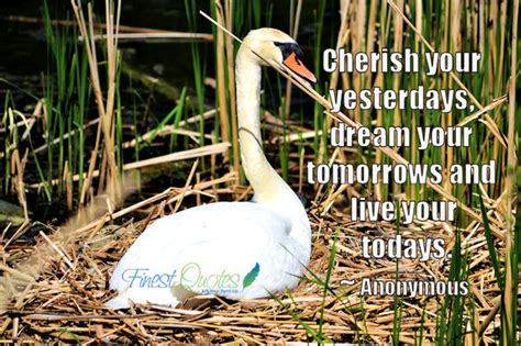 Cherish Your Loved Ones Quotes Quotesgram