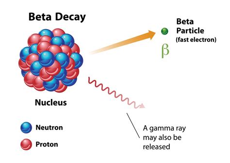 Why Is The Term "Half-Life" Used To Measure Radioactivity? » ScienceABC