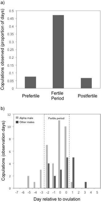 The occurrence of copulations relative to female cycle phase and to the ...