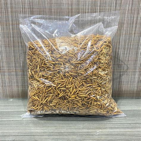 Jual Maggot Kering Gr Dried Larvae Bsf Dry Larva Magot Pakan Makanan