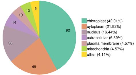 Subcellular Localization Chart Of Differentially Expressed Proteins