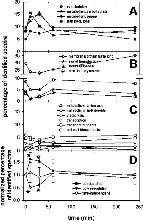 Time Dependence Of Functional Classes During Pollen Grain Germination