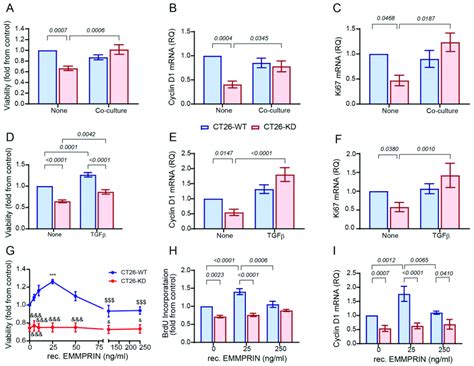 Ct26 Kd Exhibits Reduced Proliferation Ct26 Wt Or Ct26 Kd Cells 8 × Download Scientific