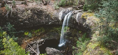 Tarraleah Falls - Walk & Lookout | Enjoy Tasmania