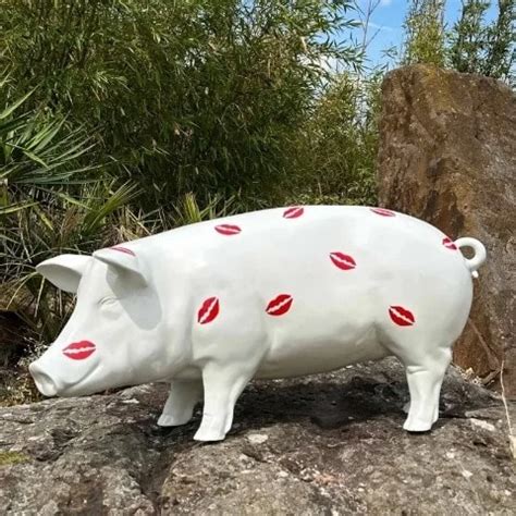 Riesiges Gemüse anal einführen xHamster