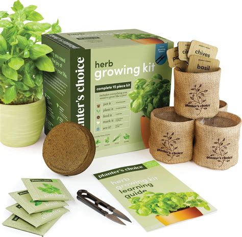 Amazon Herb Garden Indoor Herb Garden Starter Kit Easily Grow 10