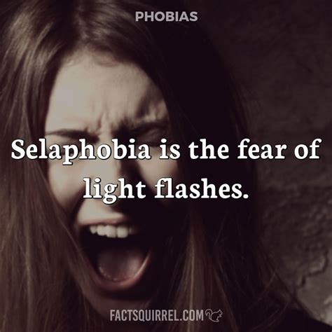 Selaphobia is the fear of light flashes - Fact Squirrel