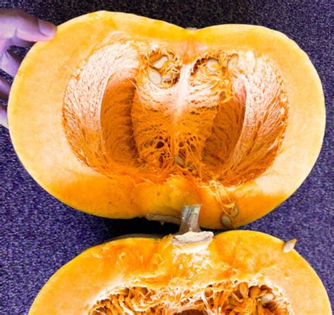 Calabaza Cucurbita Moschata Squash Seeds Bangladeshi Indian Pumpkin 15 Seeds Ebay